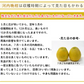 河内晩柑 Ｂ級品 (4kg) ※中玉・大玉MIX 訳あり  晩柑 ご家庭用 箱買い B品 サイズミックス 柑橘 みかん フルーツ 果物 産地直送 愛媛県産