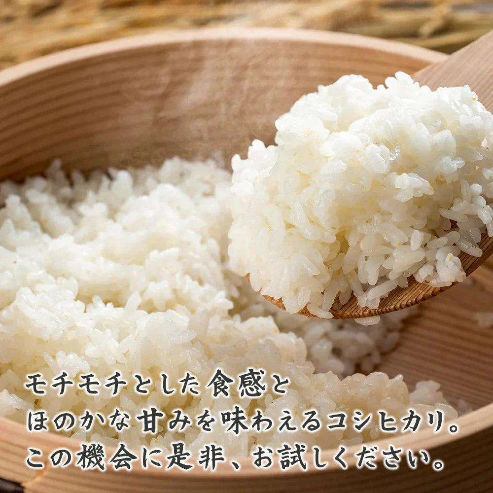 【無洗米】 令和7年産 丹波産 コシヒカリ 20kg(5kg×4袋) [丹波産コシヒカリ100％] 兵庫県産 単一原料米 送料無料 精米工場からの直送品