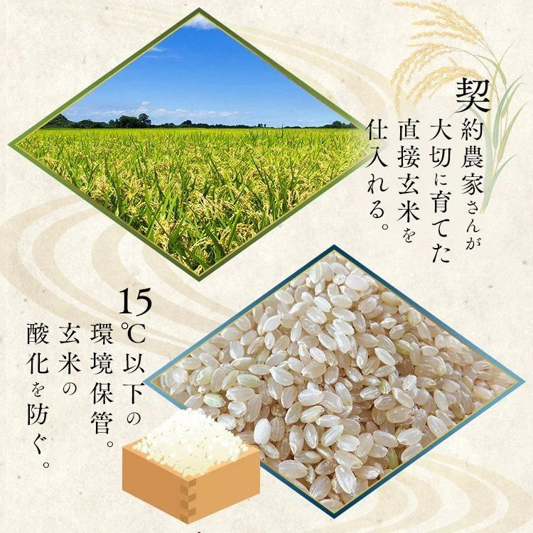 【カートアップNG】【新米】【令和4年産】白米 米 10kg (5kg×2)秋田県産 あきたこまち低温製法米 精米 お米 10キロ アキタコマチ ご飯 コメ アイリスオーヤマ ごはん アイリスフーズ