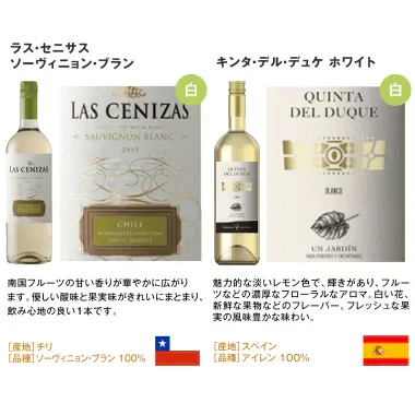 ワインセット 辛口 白ワイン スパークリングワイン 入り 10本 パーティーパック [常温]【4～5営業日以内に出荷】【送料無料】[W][WT10] 辛口ワイン 飲み比べ ワインギフト 母の日 父の日 ギフト