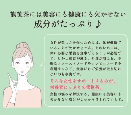 熊笹茶1袋 パウダータイプ30g　1袋