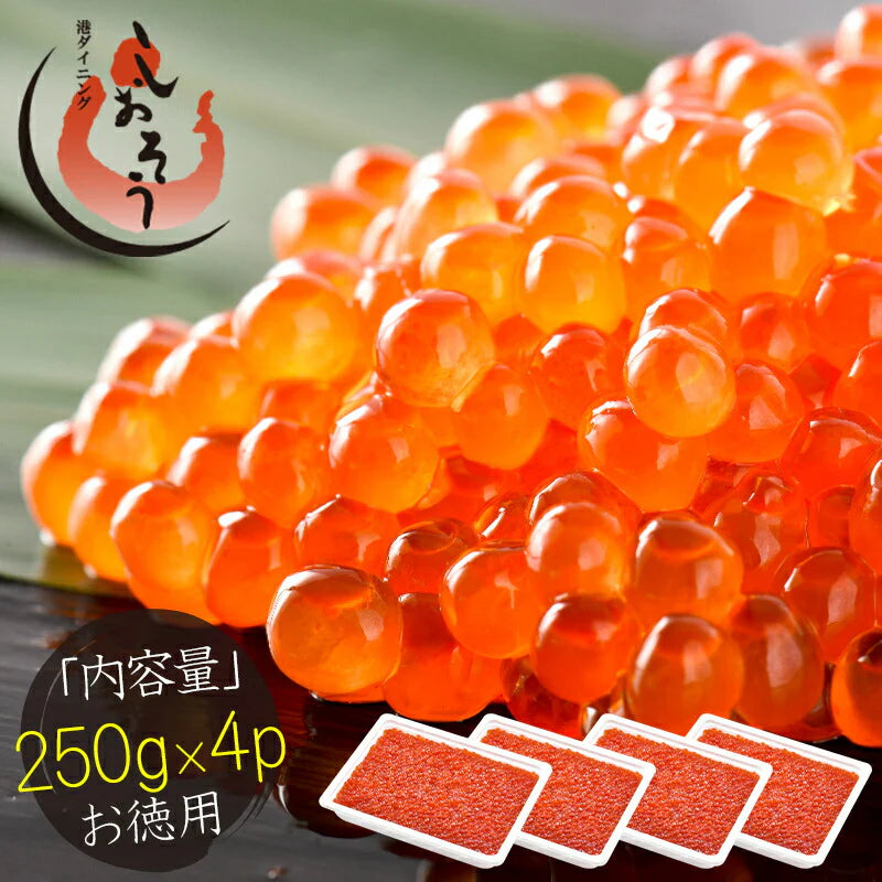 いくら 紅鮭 イクラ 醤油漬け 1kg 小粒 いくら醤油漬け 冷凍海鮮 イクラ醤油漬け 魚卵 魚介類 美味しい ご飯のお供 贈り物 グルメ 海鮮 ［送料無料］