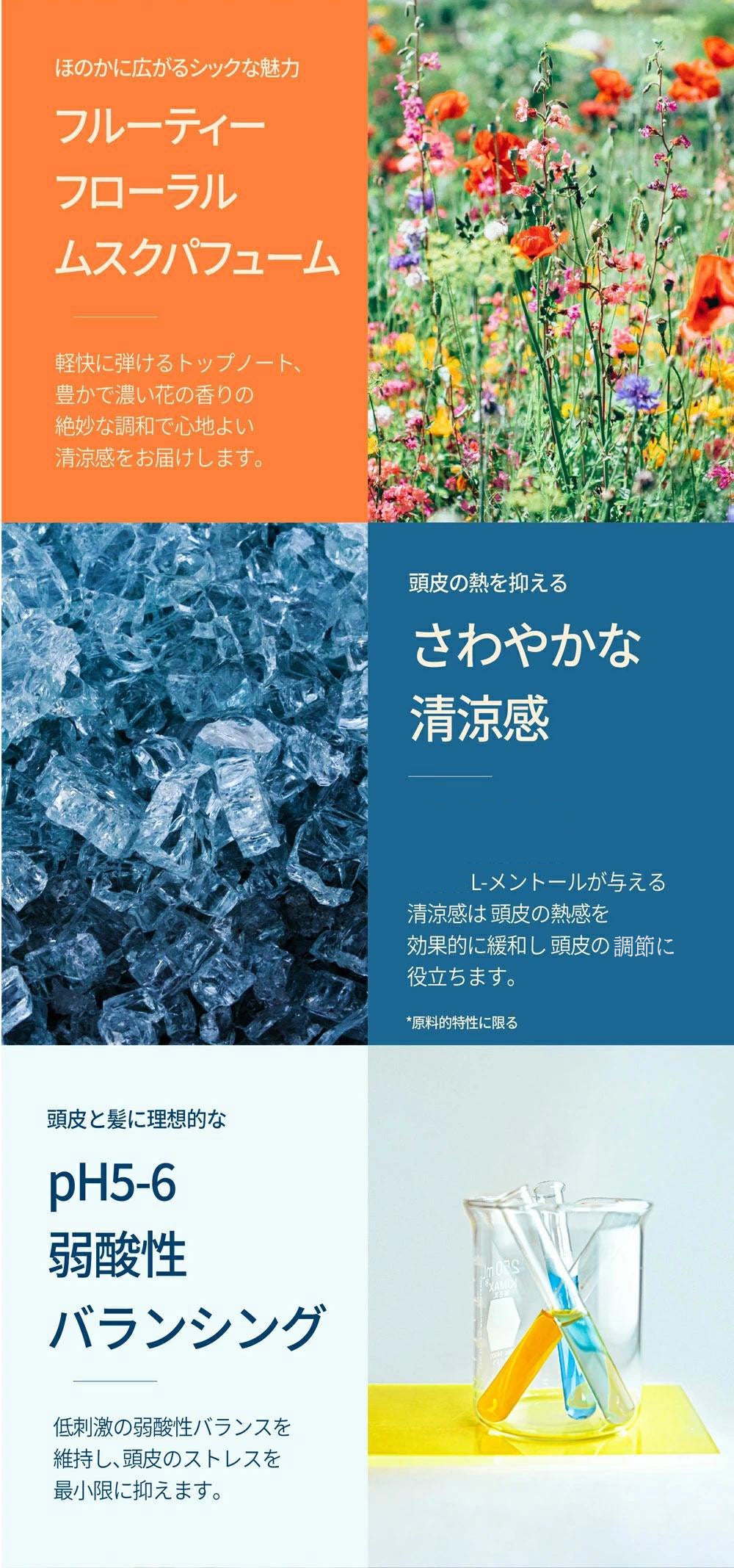 MOJELIM モジェリム エリクサートリートメント300ml 正規品 販売店  頭皮ケア ダメージケア 韓国コスメ (送料無料)