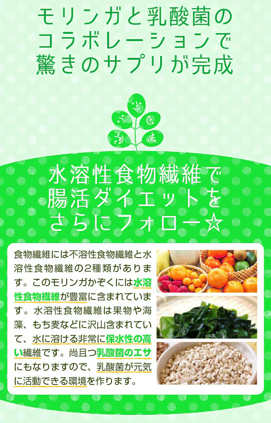 【大容量★約6ヶ月分】healthylife モリンガかぞく【乳酸菌 腸活乳酸菌 もち麦 腸活ダイエット 腸内細菌 腸内環境 腸内フローラ ポリフェノール 水溶性食物繊維 腸活ダイエット 野菜 スーパーベジタブル モリンガ末 乳酸菌 ラクトフェリン モリンガ おすすめ 人気 ランキング 効果 強力 最強 通販 日本製 国産 健康サプリ 健康食品 「福袋」