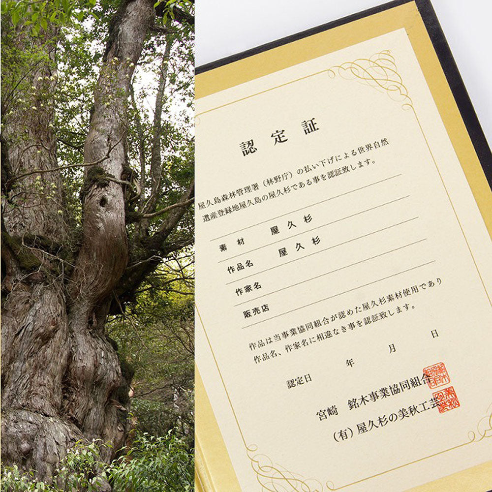 木彫りの兜・宝光(屋久杉)16cm　桐箱収納タイプ【お届け不可地域：北海道・沖縄・離島】