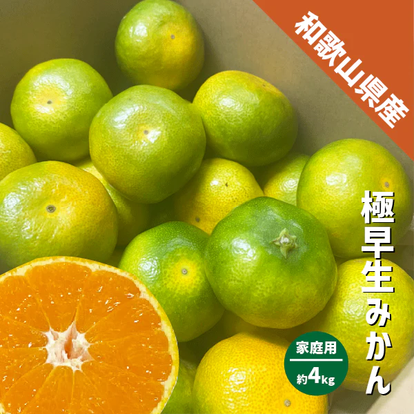 みかん 極早生 和歌山県産 約4kg S〜Lサイズ ご家庭用 紀南 有田 ミカン 極早生みかん ご自宅