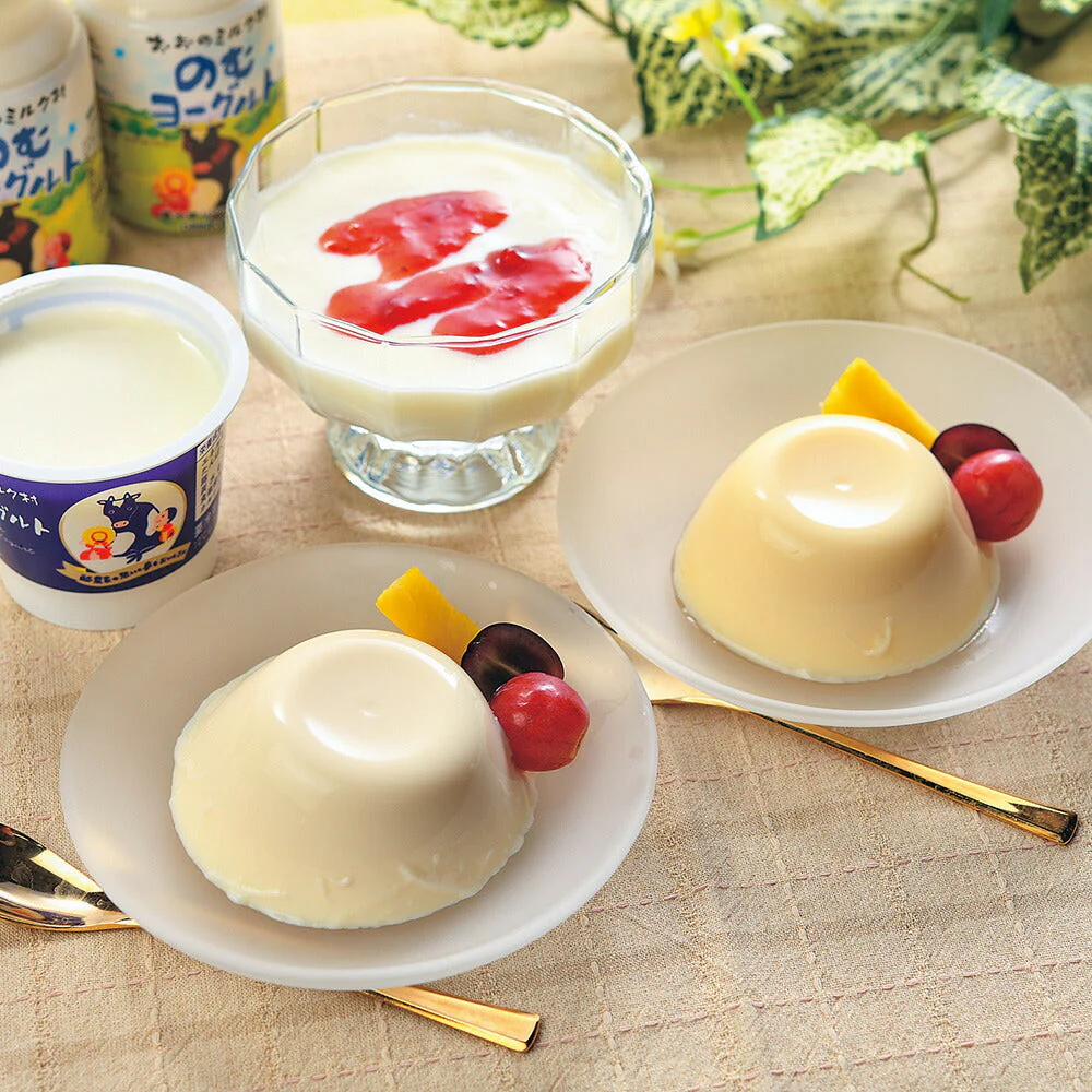 おおのミルク村 乳製品セット【お届け不可地域：沖縄・離島】