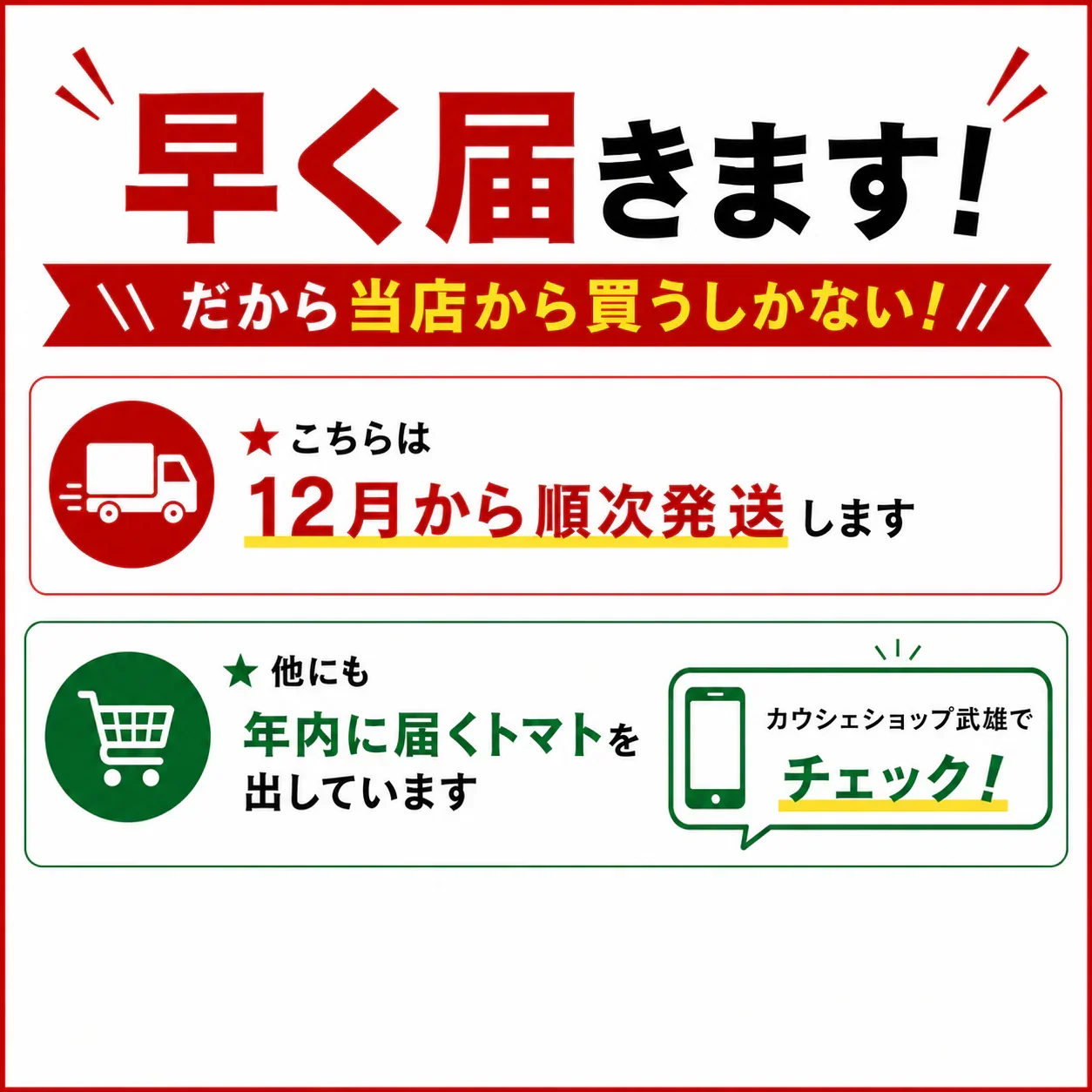 《新感覚トマト》【12月〜1月末日までに発送】【予約】約400g ＼サクサク食感で新感覚！／なつめっ娘クリスピートマト(230~250g+保証分150g)日本一の産地から農家直送 熊本県産 ミニトマト 野菜 青果 フルーツ【カウシェファーム収穫対象商品】