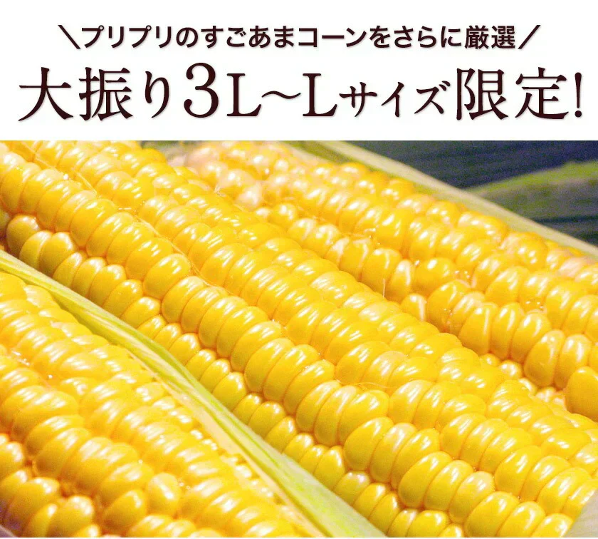 【TVで紹介】とうもろこし 卯野農場 すごあまこーん 12本入り 【3L~Lサイズ / 約3.6kg-4.8kg前後】  朝採り スイートコーン 《7-14営業日以内に発送予定（土日祝除く）》