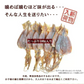 ＜国産するめ100g＞ あたりめ