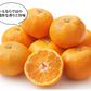 みかん ハウスみかん 送料無料 2kg 熊本県産 蜜柑 ミカン 温室みかん ギフト 贈答 御中元 フルーツ