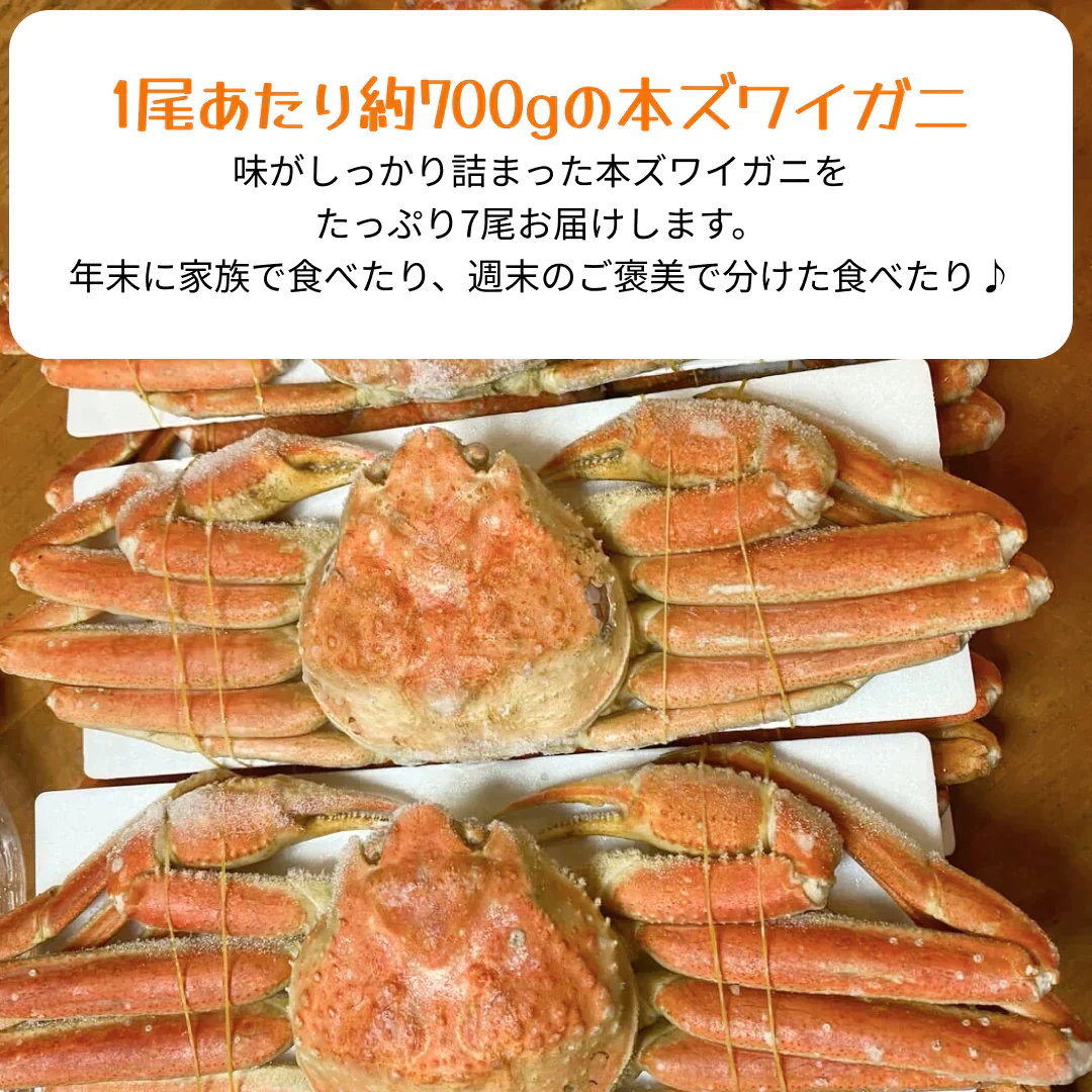 ボイル本ズワイ蟹　5㎏　発泡箱入り（1尾あたり約700g）