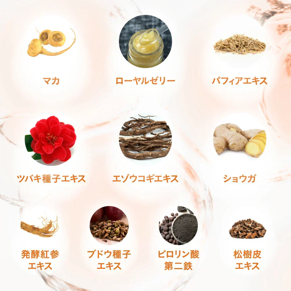 プロテオグリカン《約1ヶ月分》14種類の美容成分を濃縮！プロテオグリカン プロテオ サプリ サプリメント 美容 プラセンタ ヒアルロン酸