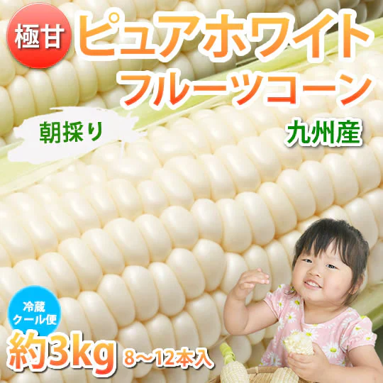 とうもろこし ピュアホワイト 送料無料 約3kg 8～12本入り 九州産 白いとうもろこし 極甘フルーツコーン スイートコーン 雪の妖精