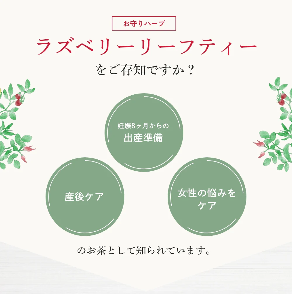 ラズベリーリーフティー 30包 3袋 オーガニック 有機 無農薬 ブレンド ハーブティー ティーバッグ マタニティー ノンカフェイン 女性 妊婦 安産 出産 産後ケア PMS お茶 ローズヒップ ネトル たんぽぽ茶 出産準備