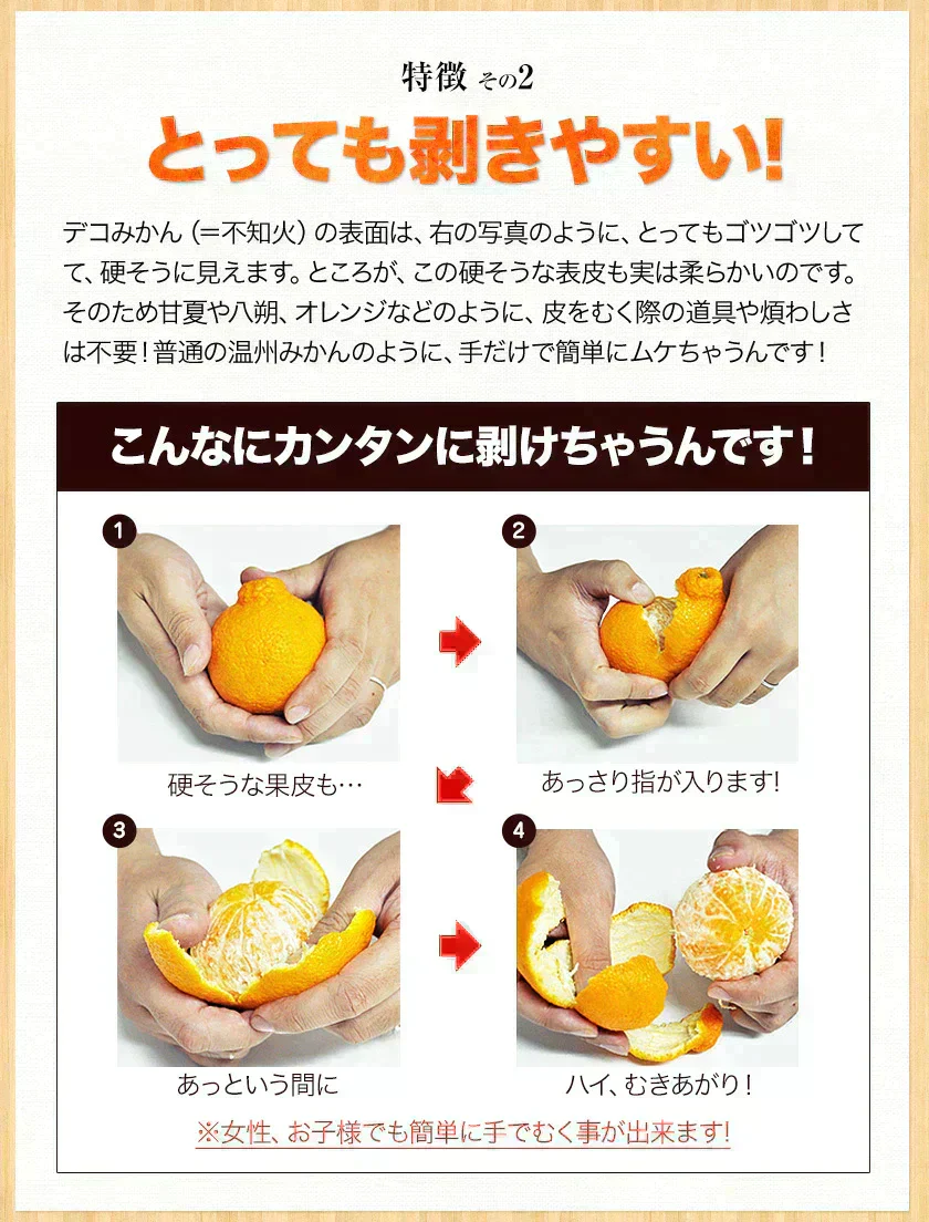 デコみかん たっぷり 8kg みかん 訳あり クール便 不知火 ミカン 熊本県産 デコポン と同品種 熊本 柑橘 美味しい みかん 産地直送 箱 でこ mikann くまもと風土 《1-5営業日以内に頃より発送予定》