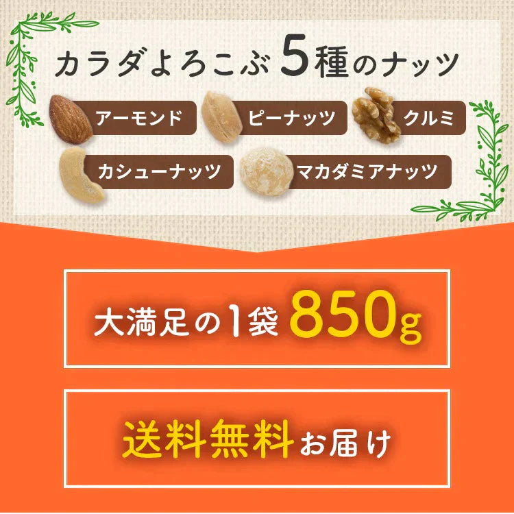 【カートアップNG】【訳あり】【賞味期限2023/7/3】5種のミックナッツ 850g 有塩【エコ得】