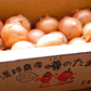 【訳あり】(塩栽培)淡路島産ソルティ玉ねぎ5キロ　美味しいさ甘さグー