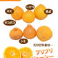 【12月下旬～1月上旬頃より順次出荷】デコポン 同品種 デコみかん 訳あり 送料無料 4kg ハウス栽培 みかん 熊本県産 不知火 ミカン 蜜柑