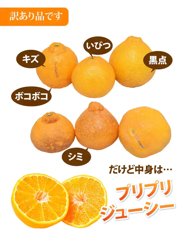 【12月下旬～1月上旬頃より順次出荷】デコポン 同品種 デコみかん 訳あり 送料無料 4kg ハウス栽培 みかん 熊本県産 不知火 ミカン 蜜柑