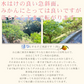 みかん　吉田みかん　２０ｋｇ　ｆ吉２０　家庭用　愛媛　吉田　果物　フルーツ　柑橘　ミカン　蜜柑　　訳あり　送料無料