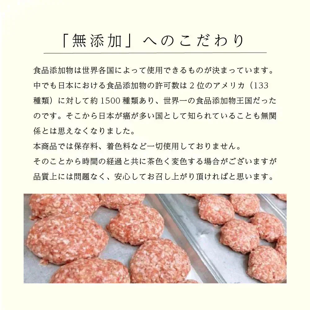 無添加 淡路島ハンバーグ 120g×10個