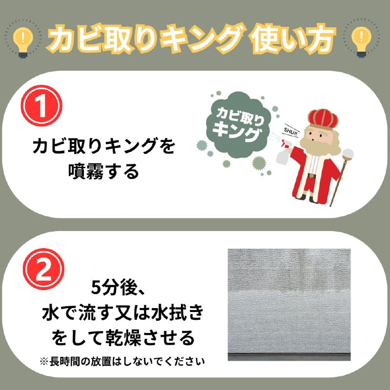 業務用 強力カビ取り剤 カビ取りキング 500ml