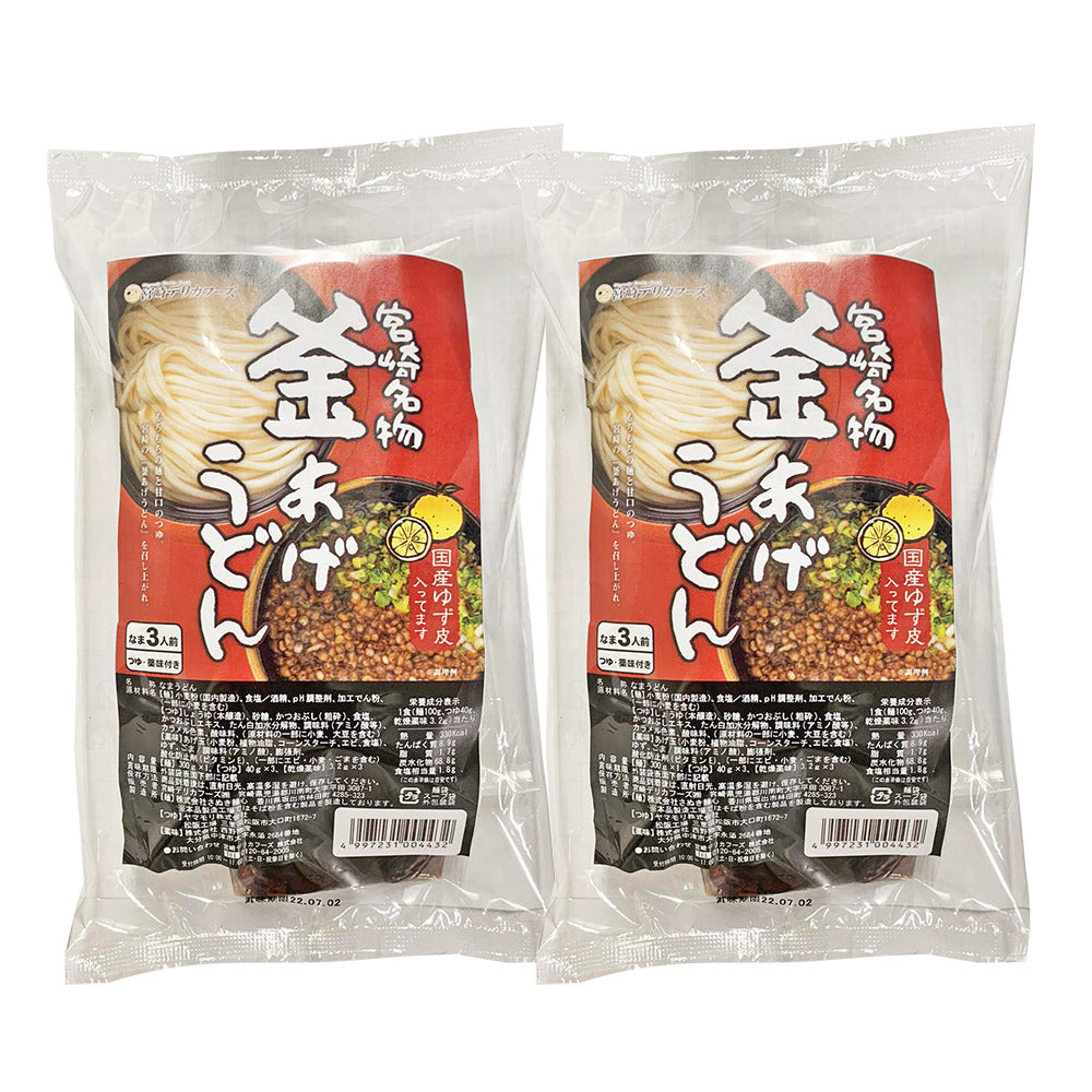 宮崎釜あげうどん 6食((麺300g×1、つゆ40g×3、乾燥薬味3袋)×2袋)【送料込み】【ゆうパケットでお届け】