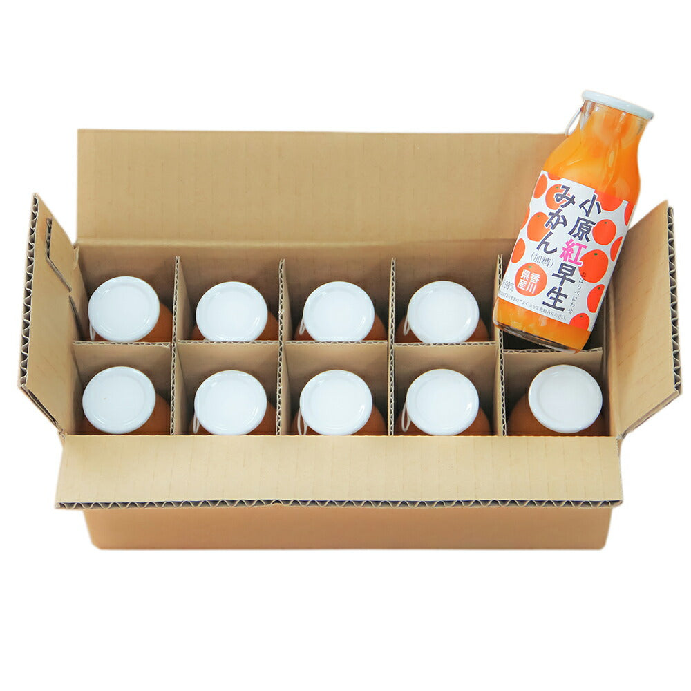 【3人シェア買いでお得】小原紅早生みかんジュース　10本セット