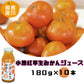 【3人シェア買いでお得】小原紅早生みかんジュース　10本セット