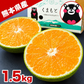 産地直送 熊本県産 みかん 訳あり 1.5㎏ 小玉みかん 送料無料 熊本ミカン 大玉 小玉 サイズ不選別 規格外 果物 柑橘 九州 訳アリ 蜜柑 みかん  《10月中旬ー11月下旬頃に出荷予定》