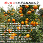 ポンカン 愛媛 箱買い 5kg 送料無料 ご家庭用 サイズミックス みかん 蜜柑 産地直送 愛媛県産 YDF-002