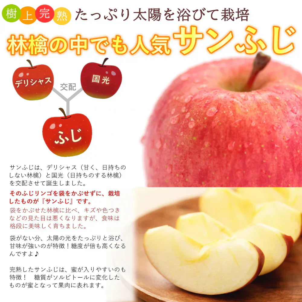 【12月上旬-下旬頃ご注文受付順次】サンふじりんご　約3kg箱　8-12玉前後 樹上完熟りんごを産地直送