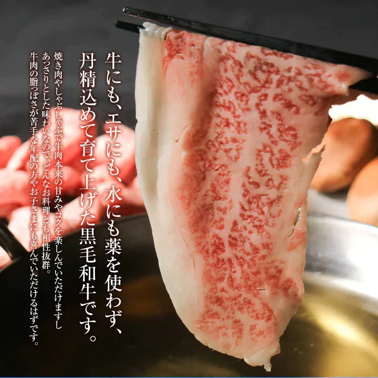 お歳暮 御歳暮  プレゼント ギフト 贈り物 しゃぶしゃぶ用 鍋 ローススライス 300ｇ 宮崎県産 黒毛和牛 EMO牛（有田牛/エモー牛） 冷凍食品 おかず お取り寄せグルメ  国産 九州産 ホルモン剤不使用 抗生物質不使用 遺伝子組換え飼料不使用 ホルモンフリー 牛肉