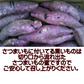 訳あり 紅はるか 箱込3キロ(2.7kg+保証分300g) 新物 サイズおまかせ さつまいも 蜜芋 熊本産 送料無料　80サイズ