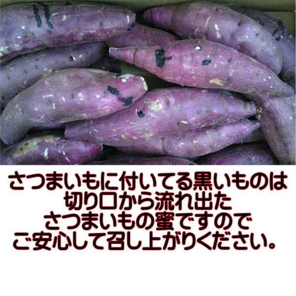 訳あり 紅はるか 箱込3キロ(2.7kg+保証分300g) 新物 サイズおまかせ さつまいも 蜜芋 熊本産 送料無料　80サイズ