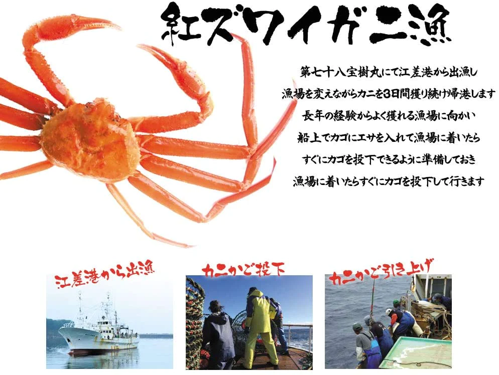 【北海道直送】国産冷凍 ボイル済 紅ズワイガニ セクション 約5kg箱 冷凍品 B品 Mサイズ (31~35肩入り目安)「漁師さん応援キャンペーン」 (5kg×1箱)【エコ得】