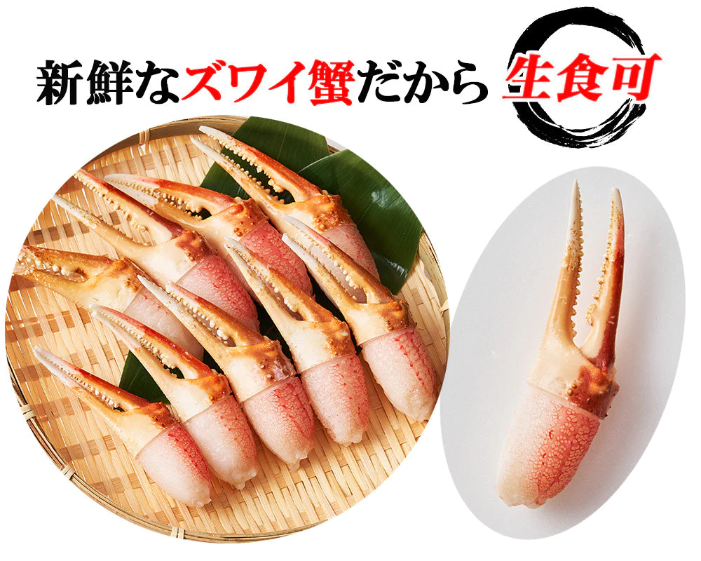 ズワイガニ ずわい蟹 カニ爪 500g カニ爪ポーション 蟹爪 かにつめ むき爪 カニしゃぶ カニ鍋 shr-013