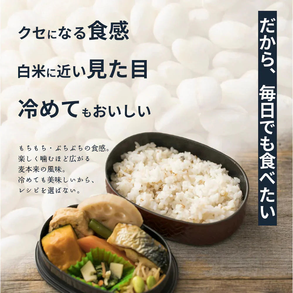雑穀 雑穀米 国産 麦５種ブレンド 24kg(400g×60袋) [丸麦/押麦/はだか麦/もち麦/はと麦] 無添加 無着色 業務用サイズ 送料無料