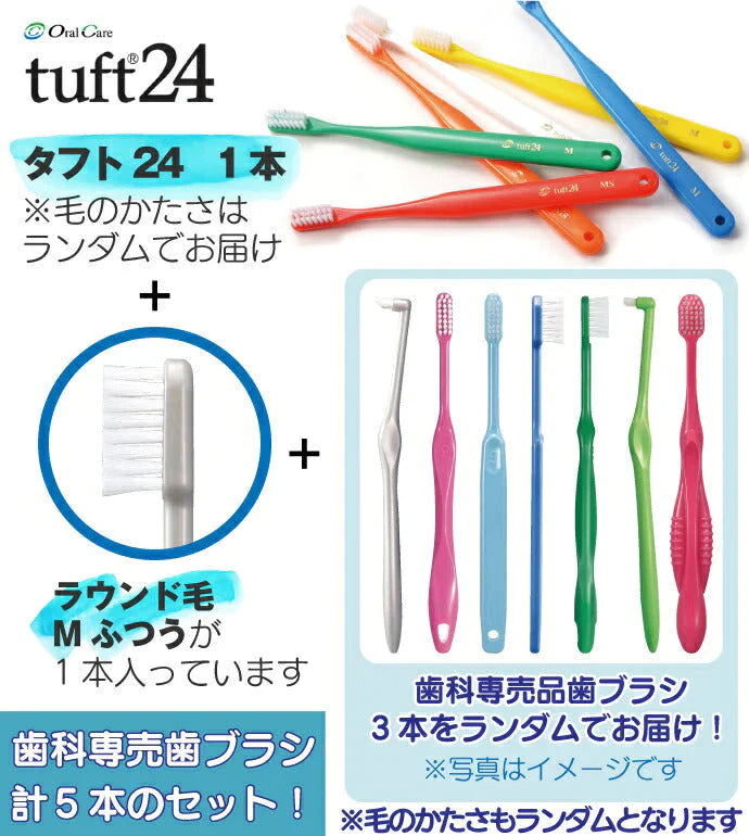 歯科専売品歯ブラシお楽しみ5本セット タフト24入り ラウンド毛 Mふつう他 大人用 歯科専用 お試し【メール便送料無料】