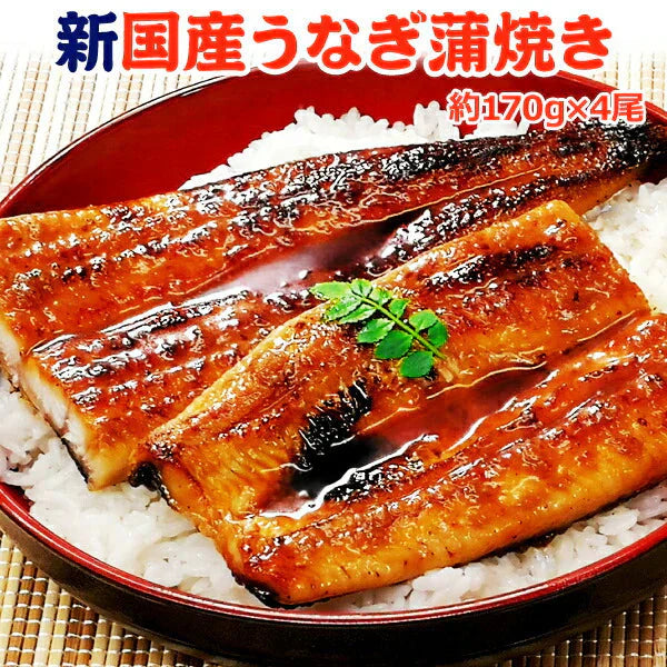 鹿児島産 新 国産 うなぎ蒲焼き 約170g×4尾 送料無料