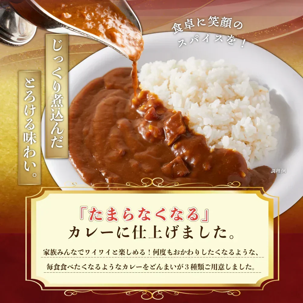 どんまいオリジナルカレー カレー 3種ミックス(180g×3) どんまいレトルトカレー ビーフカレー ポークカレー チキンカレー カレー 【カウシェファーム収穫対象商品】