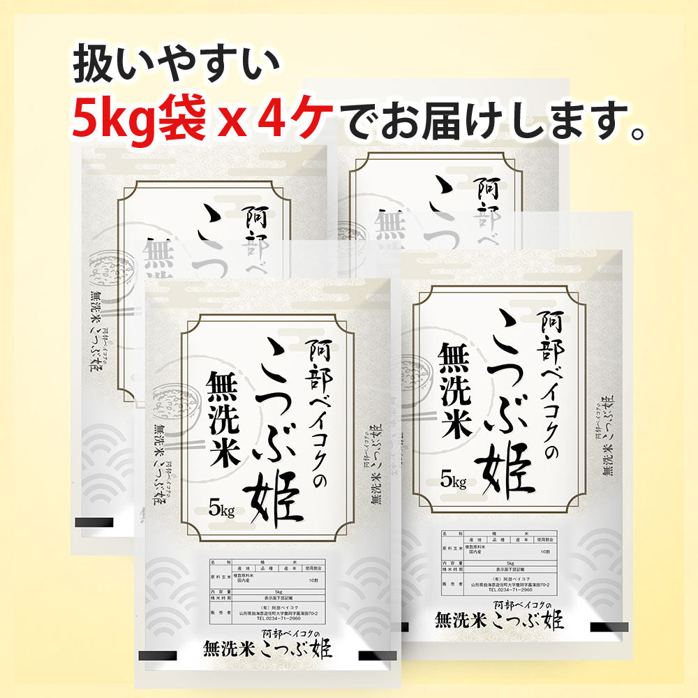 無洗米 20kg (5kg×4袋) こつぶ姫 国内産 送料無料 無洗米20キロ こめ コメ お米 精米 新米 お米20kg お米20キロ