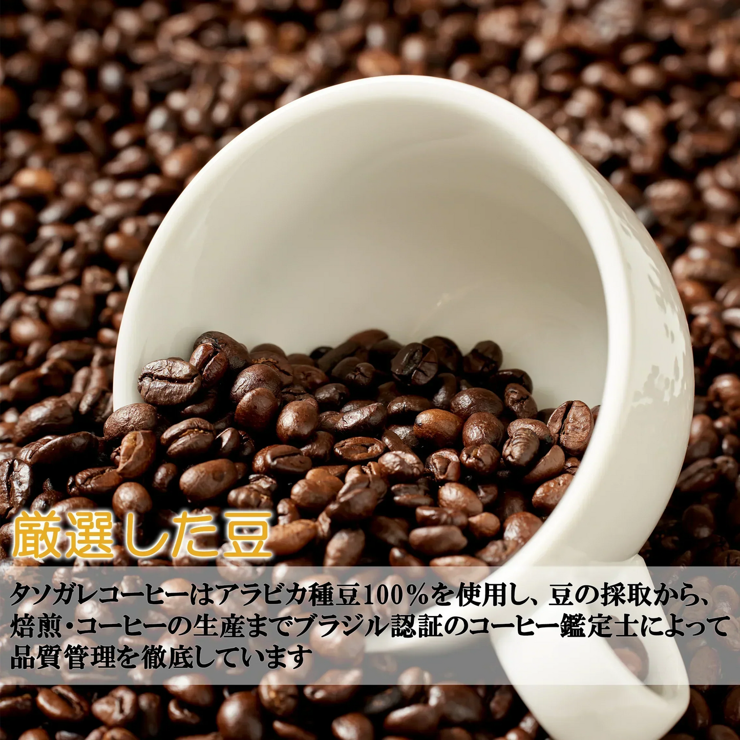 【訳あり 賞味期限2025.7.18】 【在庫処分】 ＼●超目玉●／ ドリップバッグ コーヒー セット タソガレブレンド 8g*100杯分 珈琲