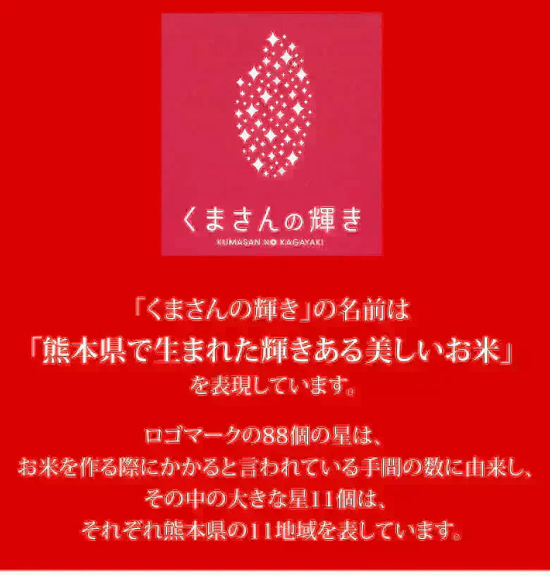 くまさんの輝き 無洗米 送料無料 計900g（300g×3袋） お試し 令和6年産 熊本県産 お米 白米 玄米 コシヒカリ ヒノヒカリ 森のくまさん