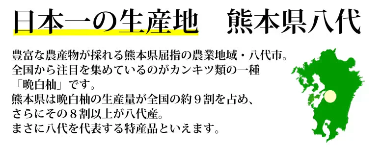 晩白柚 みかん ばんぺいゆ 送料無料 特選 約3kg～4kg 2玉入 M〜2Lサイズ 世界最大級の柑橘 熊本県八代産 蜜柑 ミカン