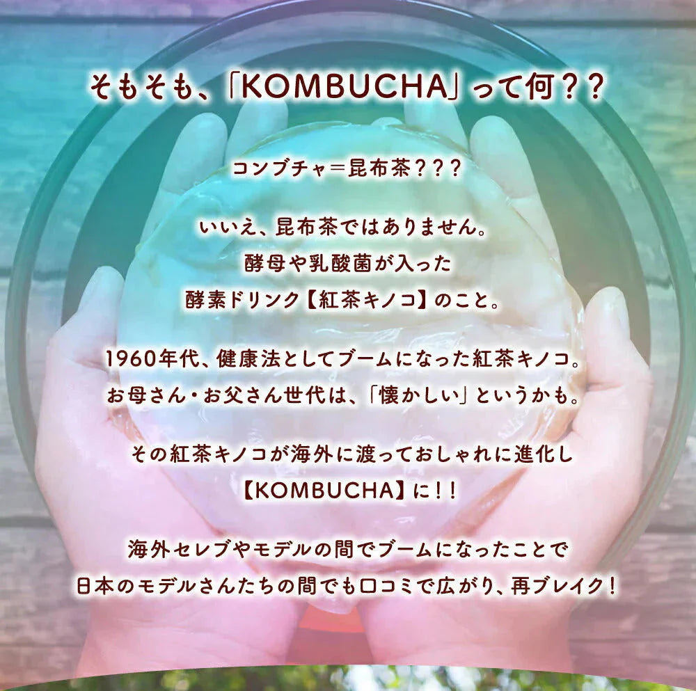 コンブチャ《約12ヶ月分》ダイエット サプリ サプリメント 美容 健康 酵素 乳酸菌  紅茶キノコ 酵母 ビタミンD 葉酸 ビタミンC ビタミンB 大豆ペプチド【大容量】