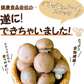 賞味期限間近【2袋セット】マッシュルームスナック トリュフ味 60g 真空フライスナック