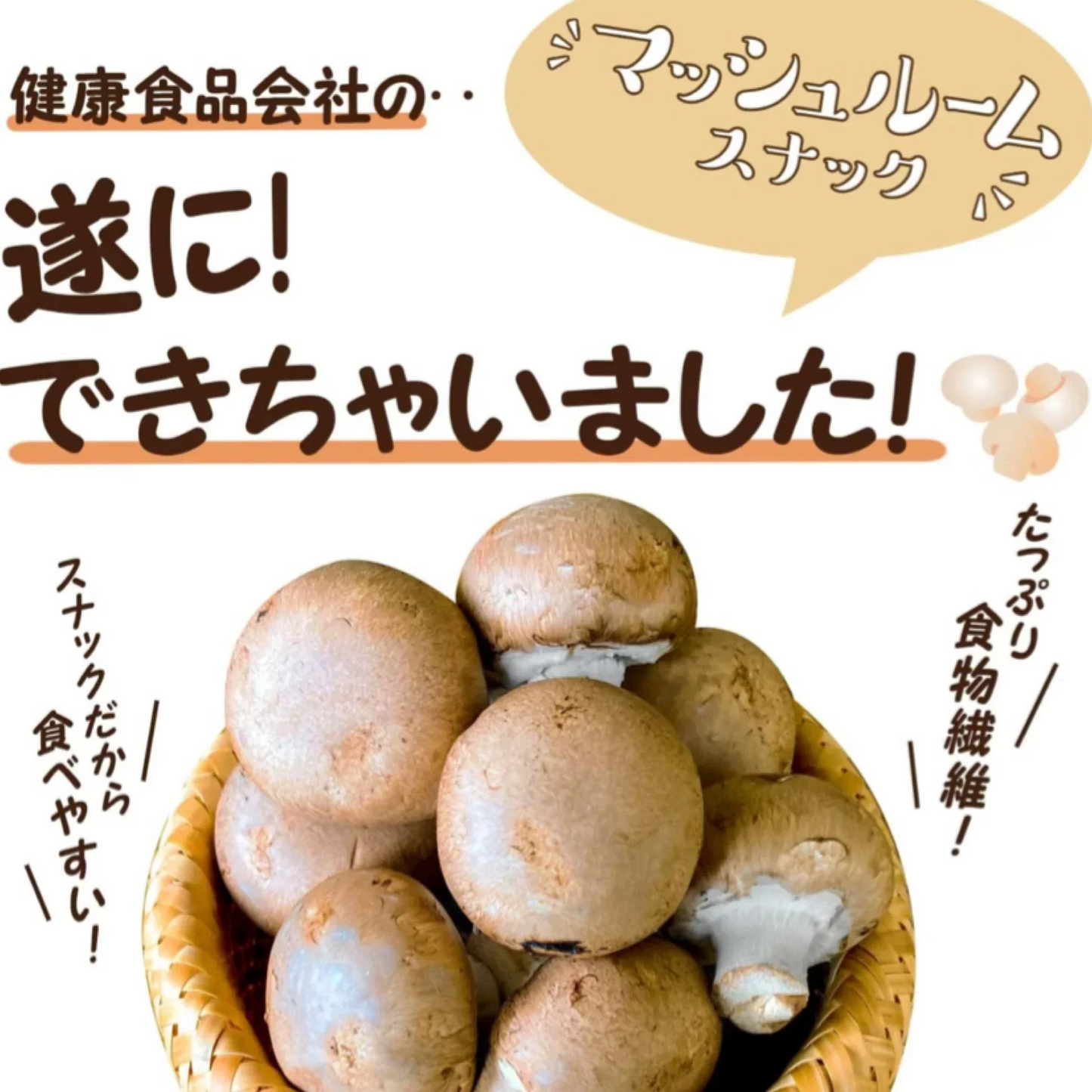 賞味期限間近【2袋セット】マッシュルームスナック トリュフ味 60g 真空フライスナック