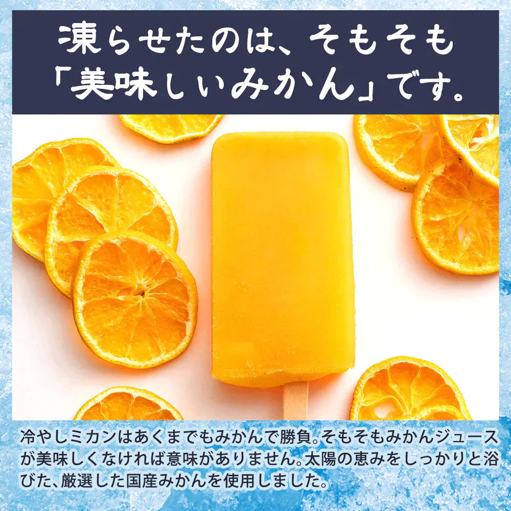 アイス ギフト みかん 100% 愛媛県産 冷やしみかん 合計20本 セット 無添加 砂糖不使用 アイスクリーム お取り寄せ スイーツ 詰め合わせ